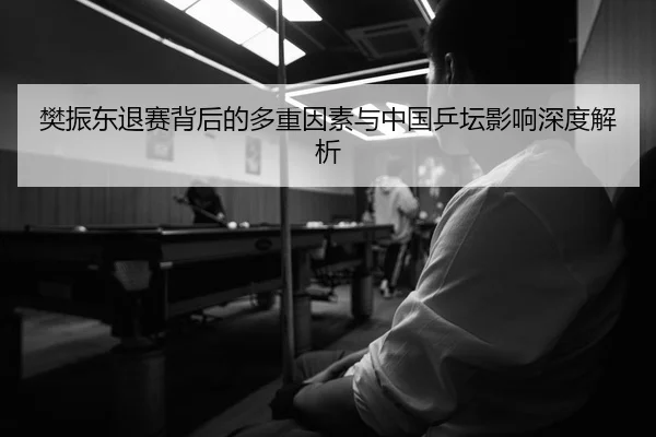 樊振东退赛背后的多重因素与中国乒坛影响深度解析