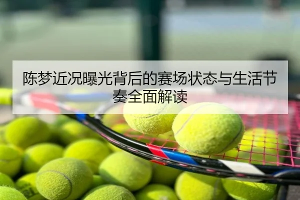 陈梦近况曝光背后的赛场状态与生活节奏全面解读