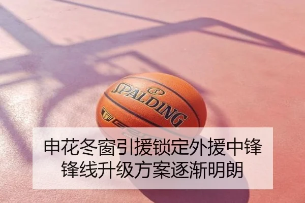 申花冬窗引援锁定外援中锋 锋线升级方案逐渐明朗